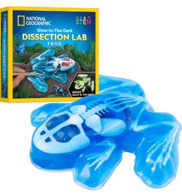Dissection Lab Frog